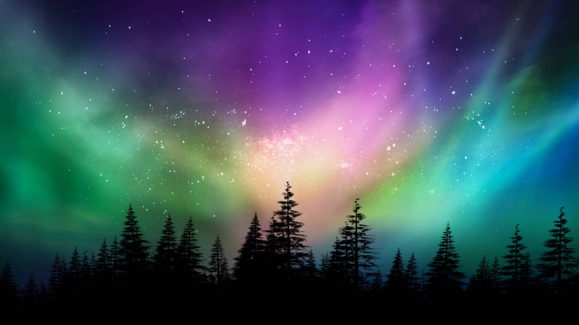 auroras boreales vistas desde un bosque que representan las criptomonedas aurory