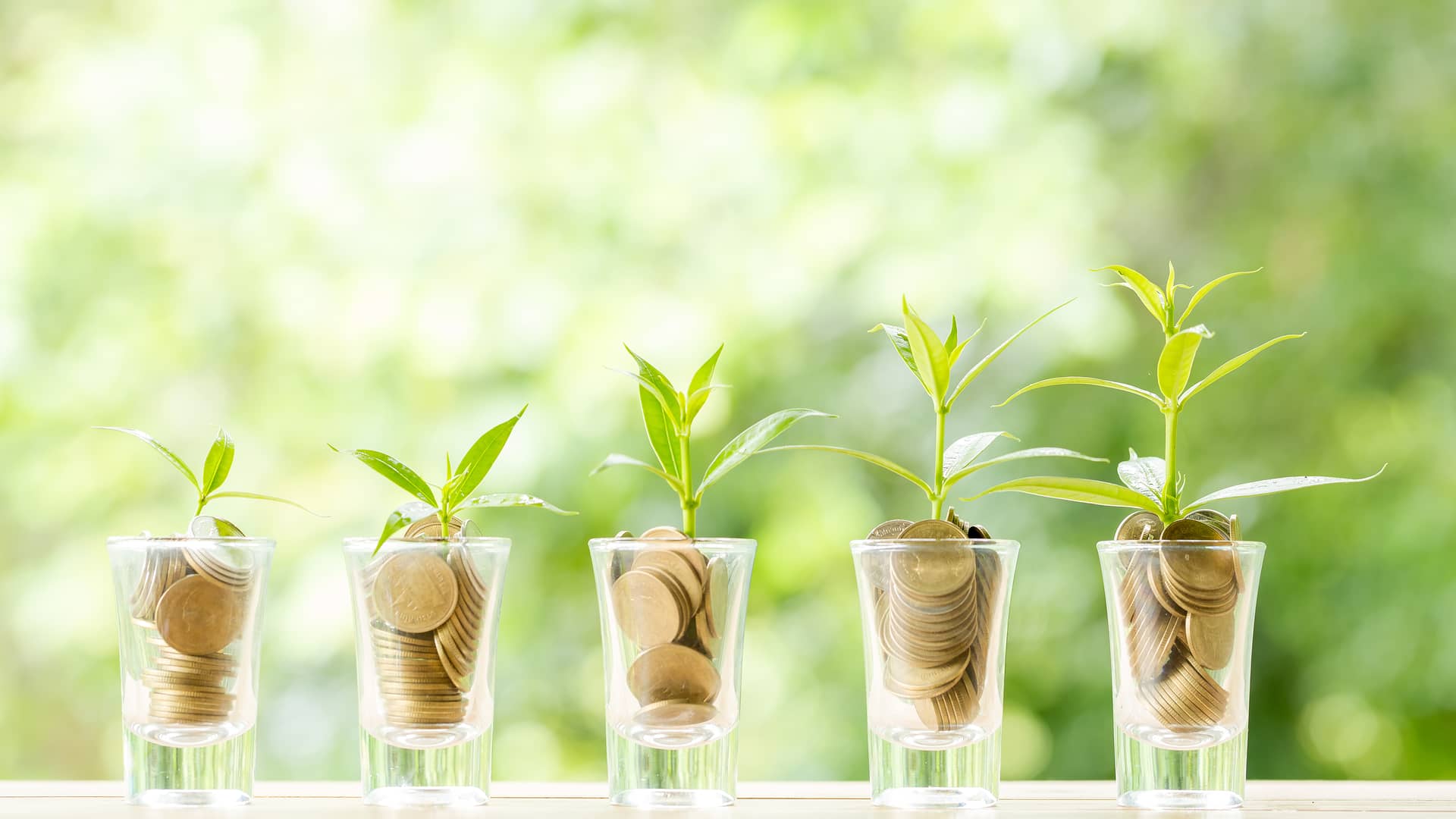 Vasos de chupito en fila con cada vez mas monedas y brotes verdes representa el valor liquidativo de un fondo de inversión